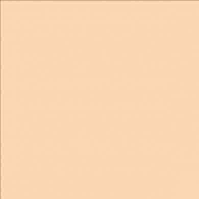 Lee Filters feuille couleur 009 Pale Amber Gold