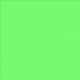 Lee Filters feuille couleur 122 Fern Green