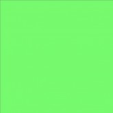 Lee Filters feuille couleur 122 Fern Green