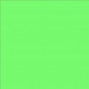 Lee Filters feuille couleur 122 - Fern Green