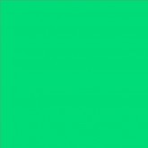 Lee Filters feuille couleur 124 Dark Green