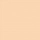 Lee Filters couleur 009 Pale Amber Gold