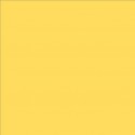 Lee Filters rouleau couleur 102 - Light Amber