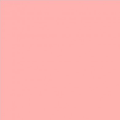 Lee Filters couleur 109 Light Salmon