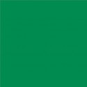 Lee Filters rouleau couleur 327 - Forest Green
